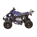 250cc Quad Bike, Racing ATV CEE aprobación con ruedas de 10 pulgadas